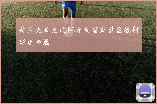 荷兰先丢后追阿尔瓦雷斯禁区爆射球迷沸腾