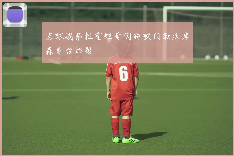 点球战弗拉霍维奇倒钩破门勒沃库森看台炸裂