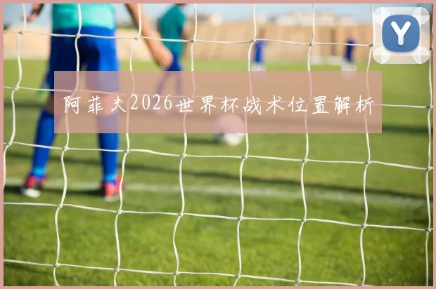 阿菲夫2026世界杯战术位置解析