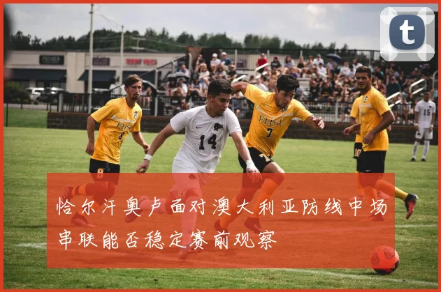 恰尔汗奥卢面对澳大利亚防线中场串联能否稳定赛前观察