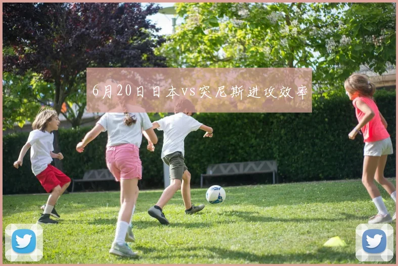 6月20日日本vs突尼斯进攻效率