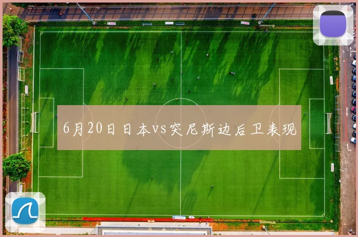 6月20日日本vs突尼斯边后卫表现